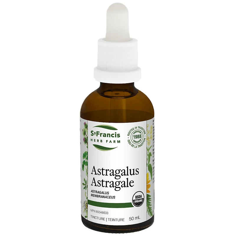 Astragalus