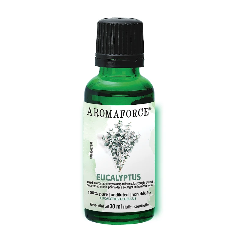 Eucalyptus Essential Oil