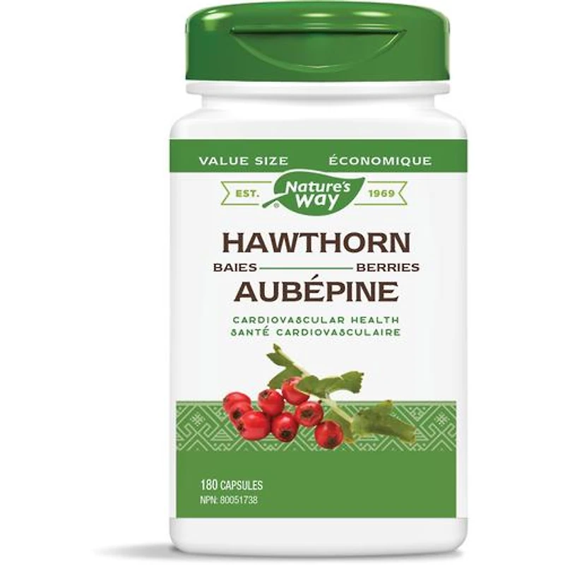 Hawthorn Berries