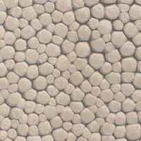 Safavieh Meadow Collection Joss Dots Area Rug