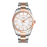 Esq Mens Two Tone Stainless Steel Bracelet Watch 37esq015501a