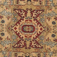 Safavieh Mahal Collection Alfonso Oriental Area Rug