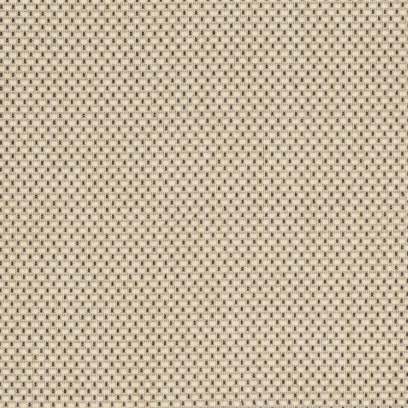Safavieh Courtyard Collection Trina Bordered Indoor/Outdoor Area Rug