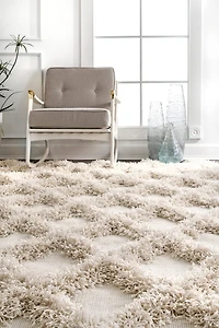 nuLoom Francene Diamond Trellis Shaggy RectangularRug