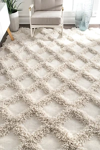 nuLoom Francene Diamond Trellis Shaggy RectangularRug