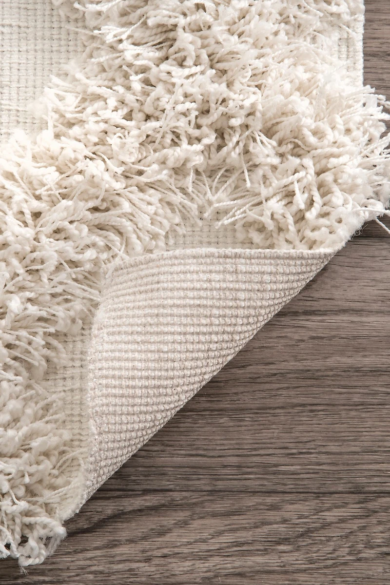 nuLoom Francene Diamond Trellis Shaggy RectangularRug