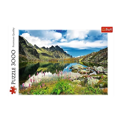 Trefl Puzzles - 3000 Piece Starolesnianski Pond 3000-pc. Puzzle