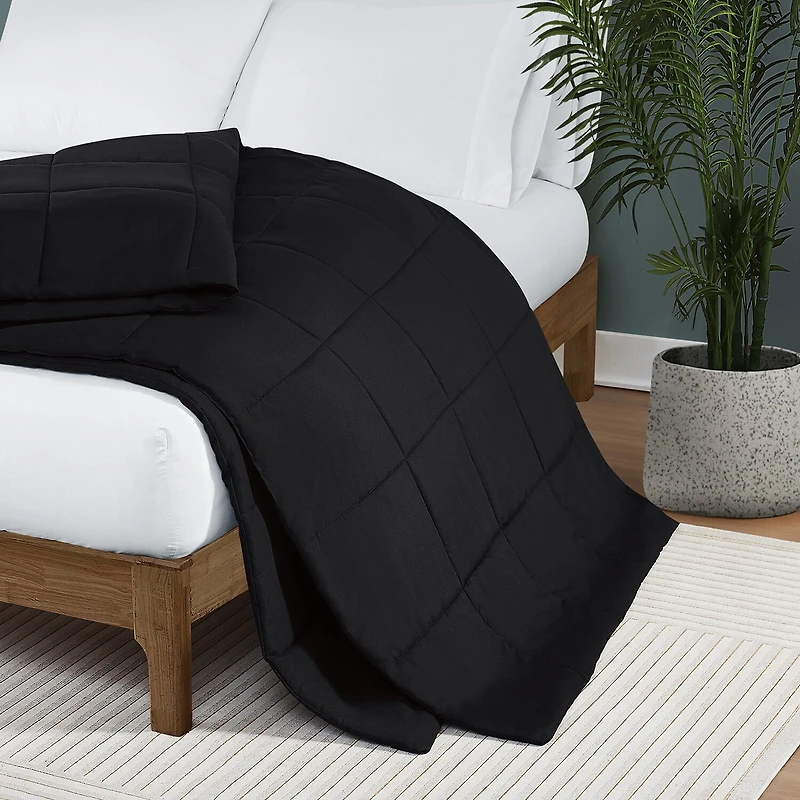 Truly Soft Everyday Solid Blanket