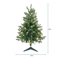 Kurt Adler 3-Foot Pre-Lit Clear Incandescent Jackson Pine Tree