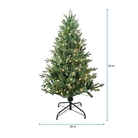 Kurt Adler 4.5-Foot Pre-Lit Clear Incandescent Jackson Pine Tree