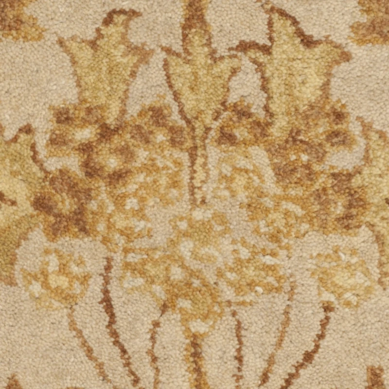 Safavieh Rectangular Rugs
