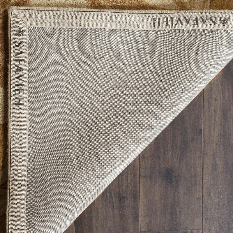 Safavieh Rectangular Rugs