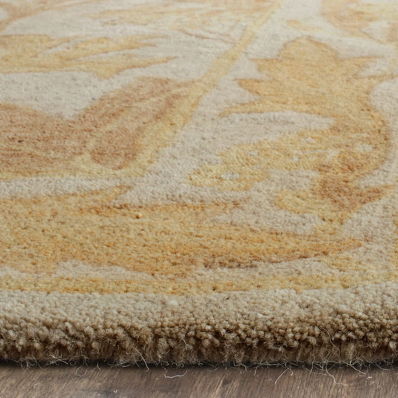 Safavieh Rectangular Rugs