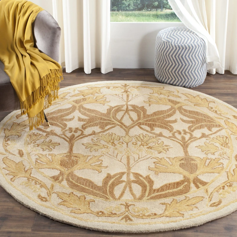 Safavieh Rectangular Rugs