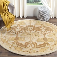 Safavieh Rectangular Rugs