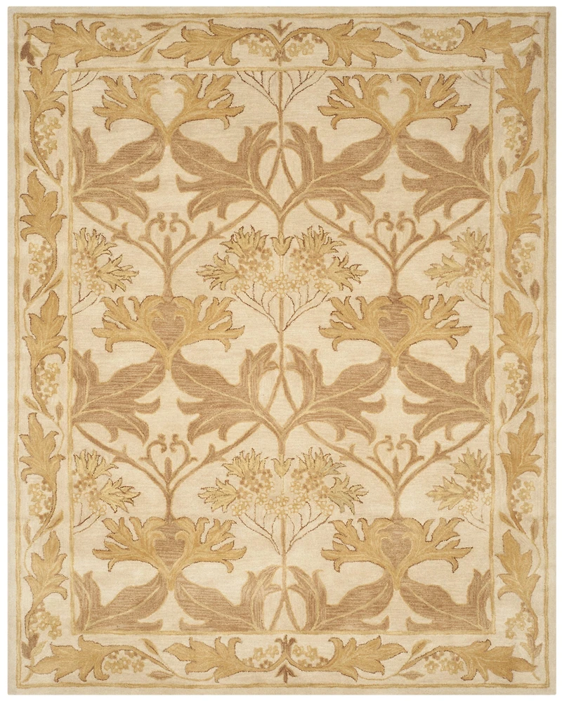 Safavieh Rectangular Rugs