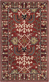 Safavieh Rectangular Runner