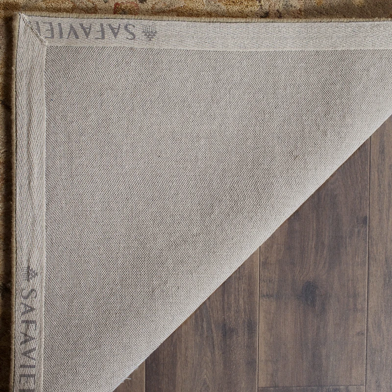 Safavieh Delores Traditional Area Rug