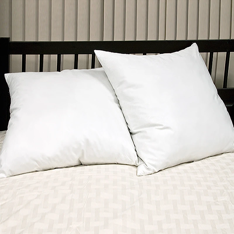 Euro Square Feather 2-Pack Pillows
