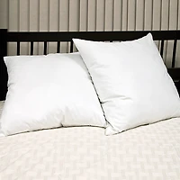 Euro Square Feather 2-Pack Pillows