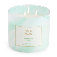 Distant Lands Fig & Yuzu 3-Wick Scented Jar Candle