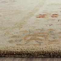 Safavieh Evelina Traditional Area Rug