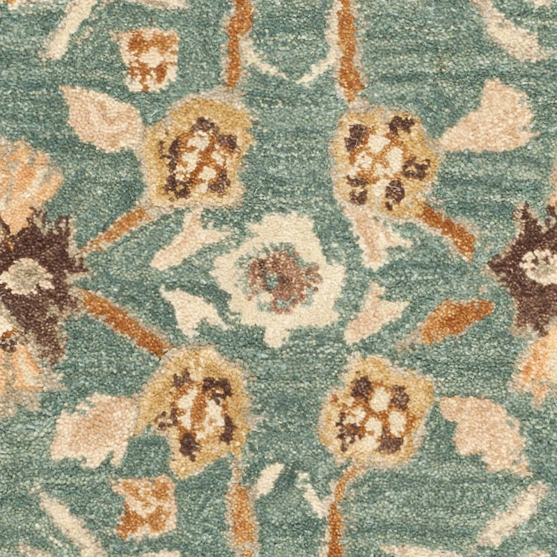 Safavieh Delmar Traditional Area Rug