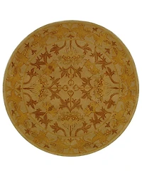 Safavieh Everard Traditional Area Rug