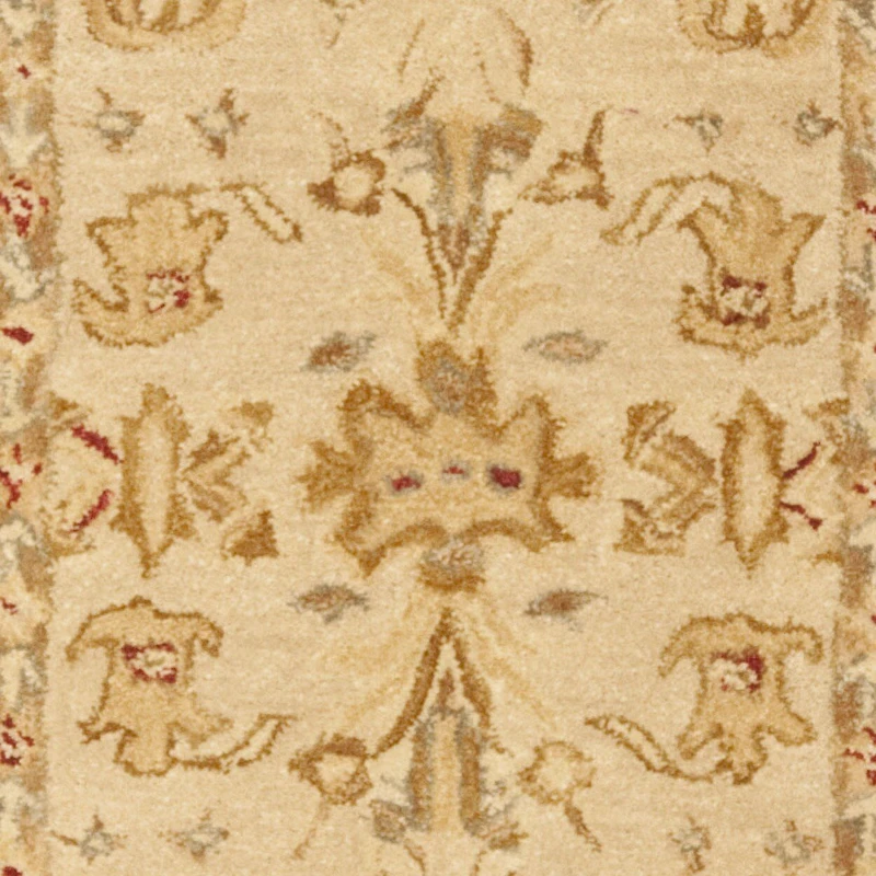 Safavieh Genesis Traditional Area Rug