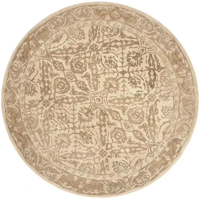 Safavieh Bianca Traditional Area Rug