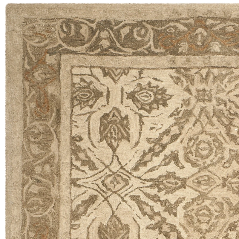 Safavieh Bianca Traditional Area Rug