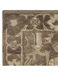Safavieh Jeneka Traditional Area Rug