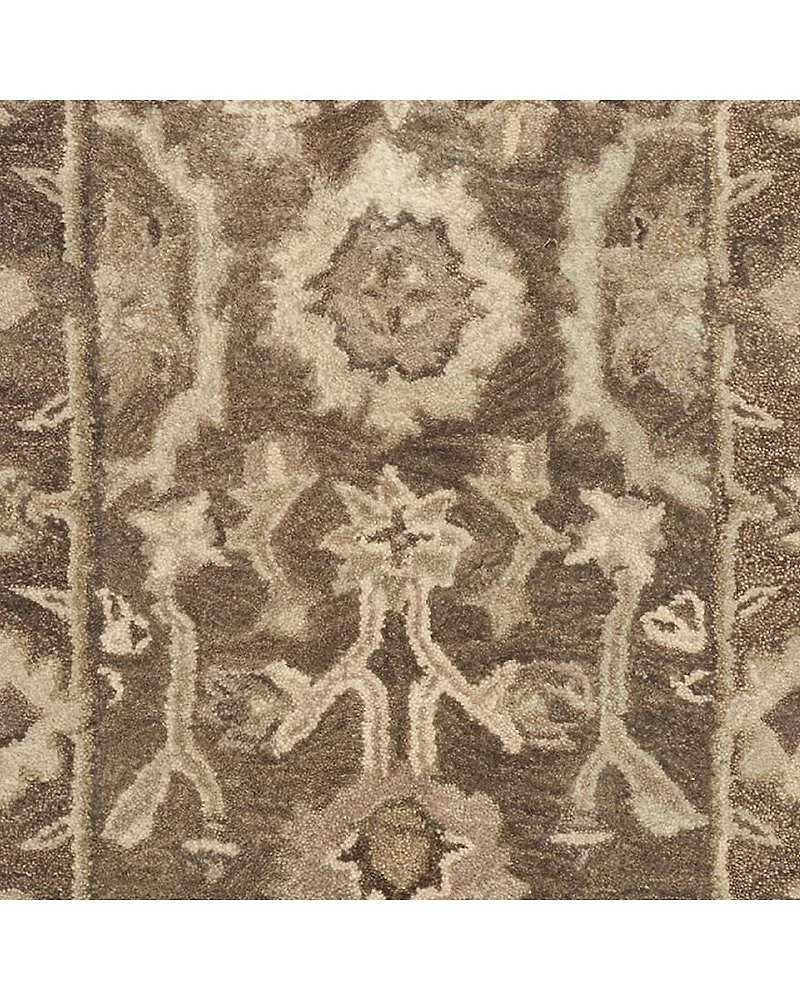 Safavieh Jeneka Traditional Area Rug