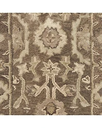 Safavieh Jeneka Traditional Area Rug