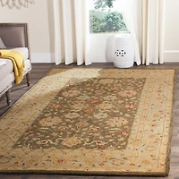Safavieh Pema Traditional Area Rug