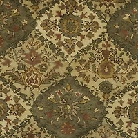 Safavieh Lolicia Traditional Area Rug