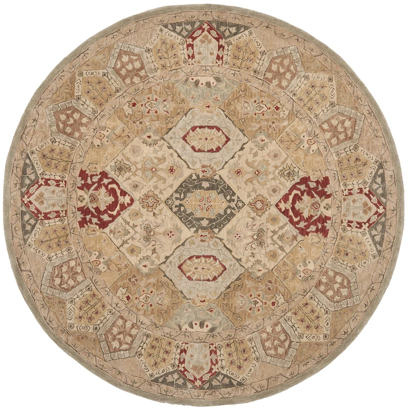 Safavieh Rishi Traditional Area Rug
