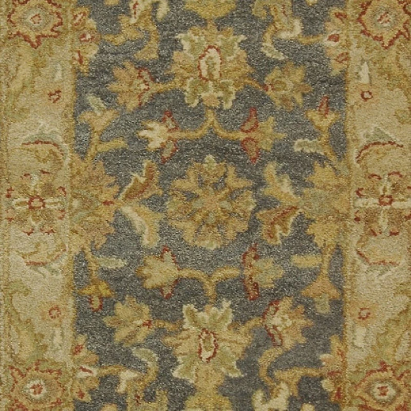 Safavieh Rishika Traditional Area Rug