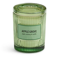 Martha Stewart 10oz Apple Grove Single Wick Scented Jar Candle