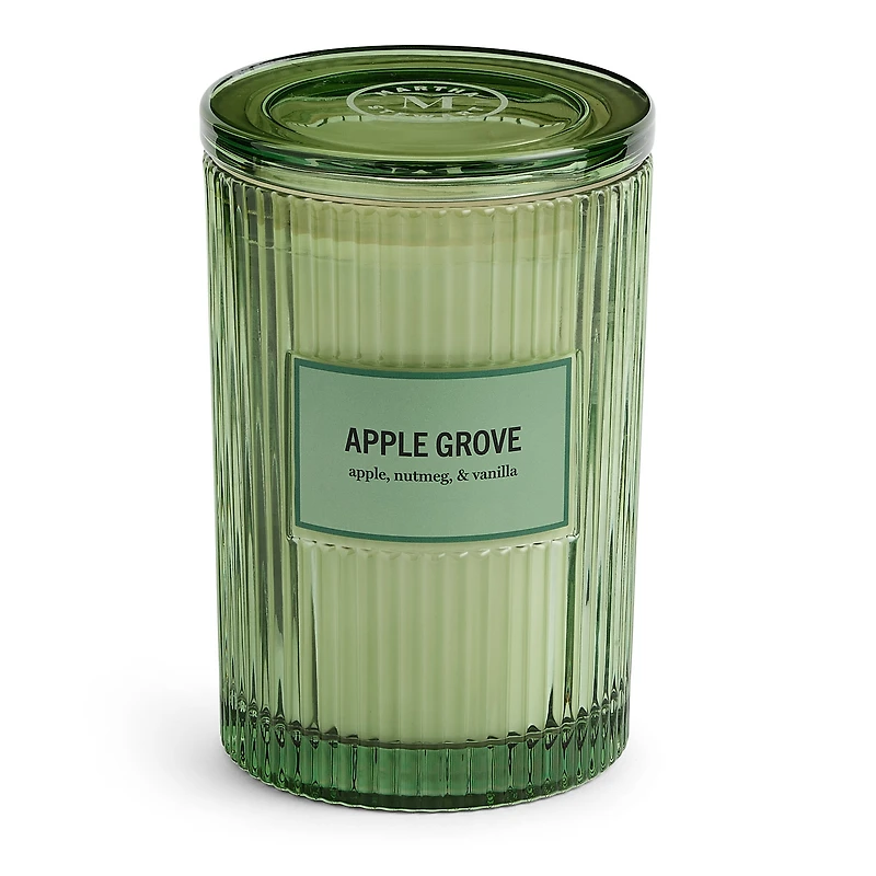 Martha Stewart 19oz Apple Grove 2-Wick Scented Jar Candle