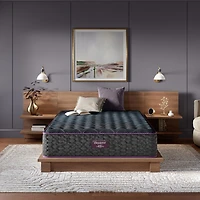 Beautyrest World Class Level Three 14.5" Medium Tight top - Mattress Only