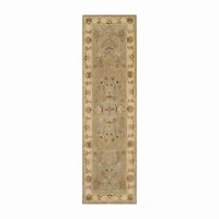 Safavieh Marlyne Traditional Area Rug