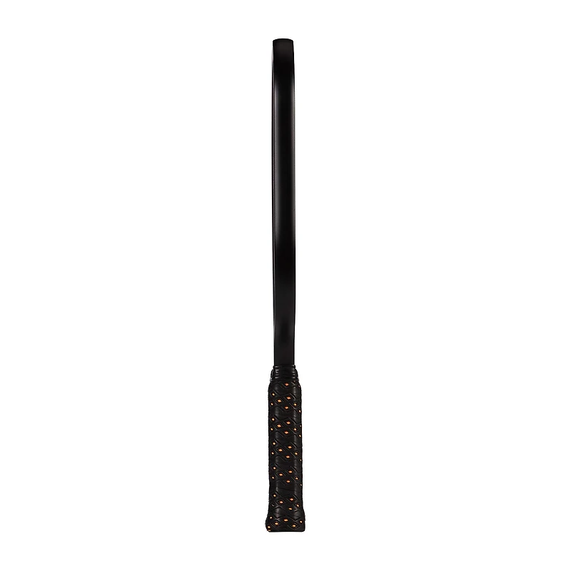 ONIX™ Premier Raw Carbon Pickleball Paddle Sports Game