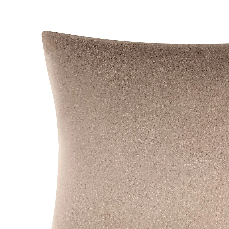 Rose Tree Hannah Velvet Decorative Square Throw Pillow