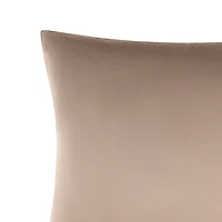 Rose Tree Hannah Velvet Decorative Square Throw Pillow