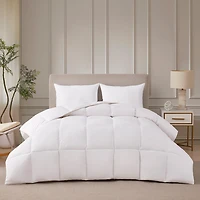 Home Expressions Light Warmth Feather Comforter