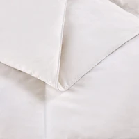 Home Expressions Light Warmth Feather Comforter