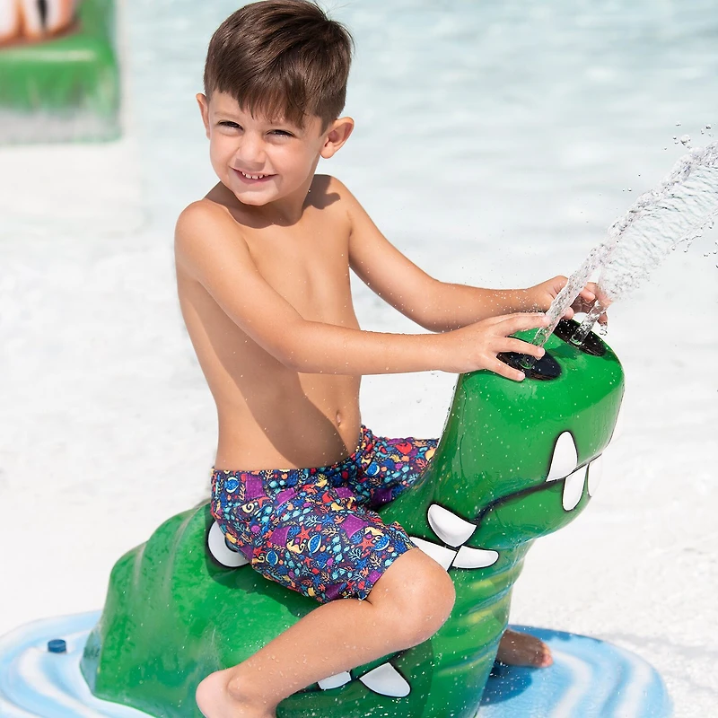 Dolfin Toddler Boys Swim Trunks