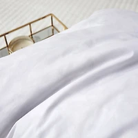 Serta Feather 2 Pack Euro Pillow