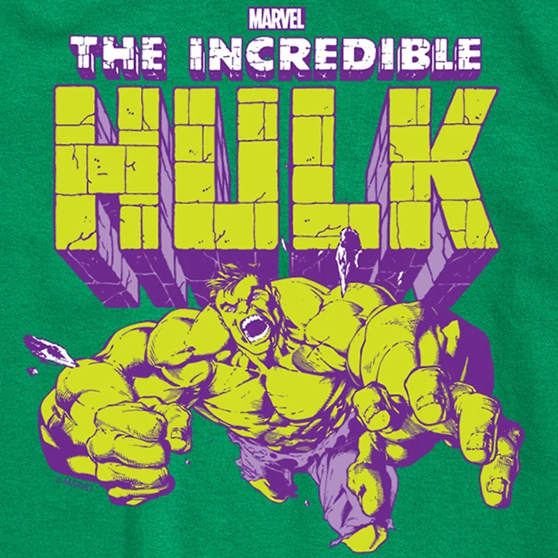 Disney Collection Little & Big Kid Boys Crew Neck Short Sleeve Regular Fit Hulk Graphic T-Shirt